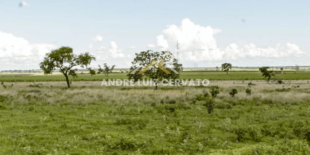 Terreno Perfeito na Rodovia BR-497