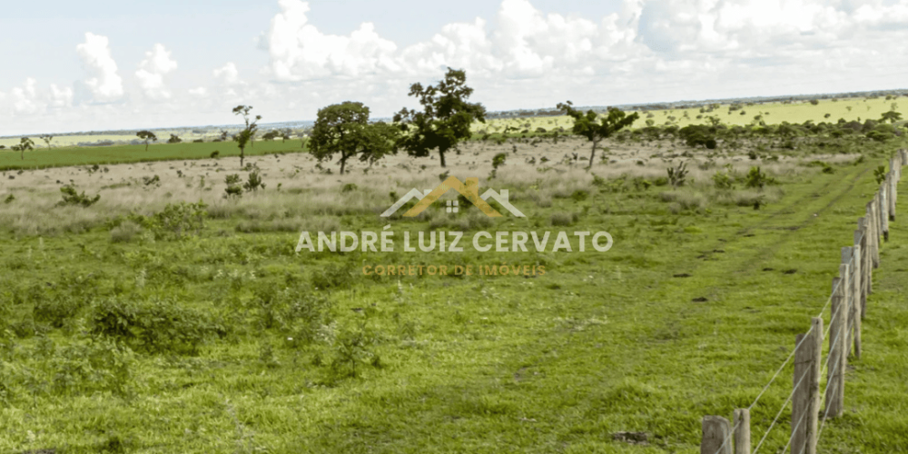 Terreno Perfeito na Rodovia BR-497